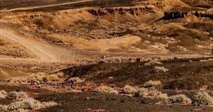 麻将学习不是速成（学麻将没有捷径）